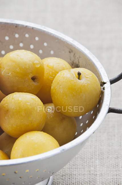Yellow plums in colander — Stock Photo