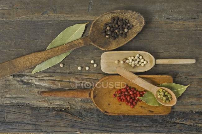 Dried colorful pepper on wooden spoons — Stock Photo