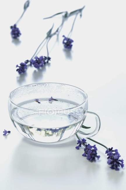 Glas Lavendeltee — Stockfoto