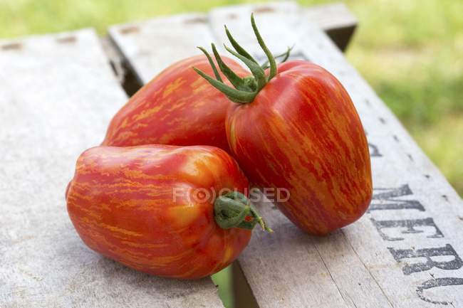 Tomates rojos de reliquia - foto de stock
