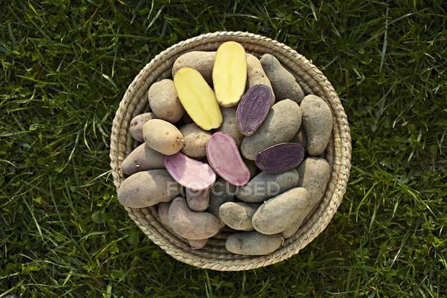 Whole and halved Various types of potatoes — Stock Photo