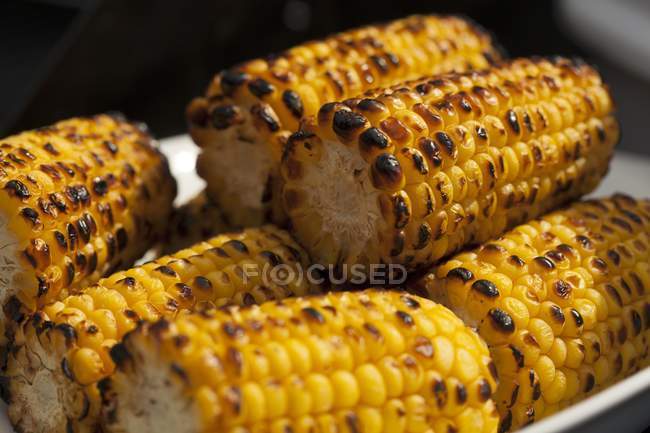 Gegrillter Mais auf Kolben — Stockfoto