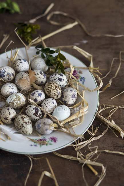 Перепелиные яйца на тарелке с соломой — стоковое фото