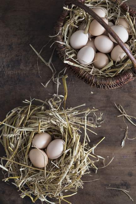 Huevos frescos en un nido de paja - foto de stock