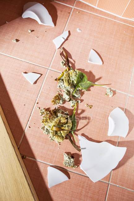 Spinat-Souffl und ein kaputter Teller auf dem Boden — Stockfoto