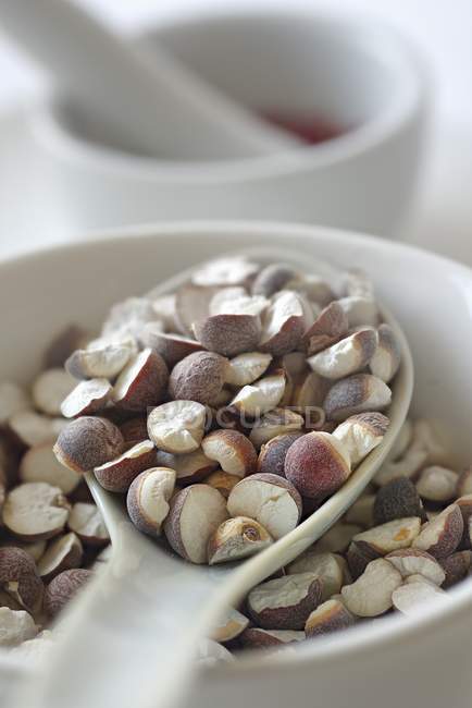 Foxnut seeds in spoon — Stock Photo