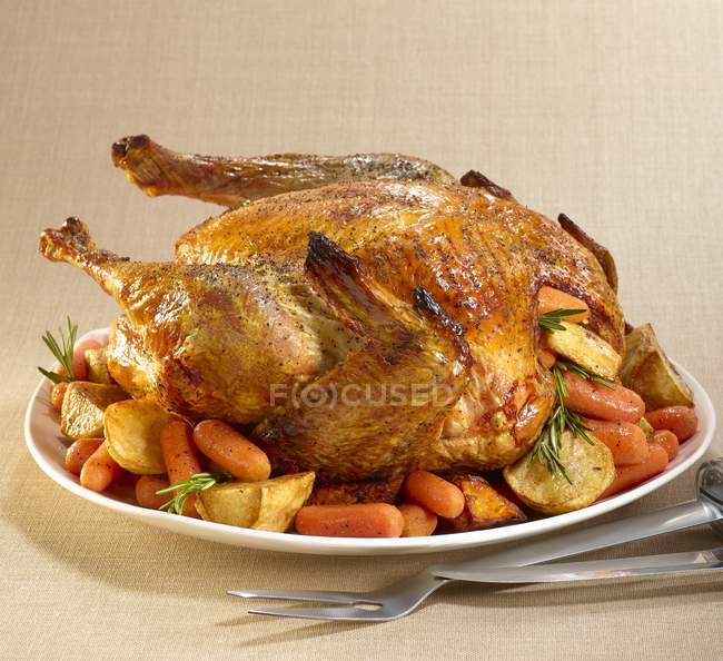 Roast turkey with rosemary — Stock Photo