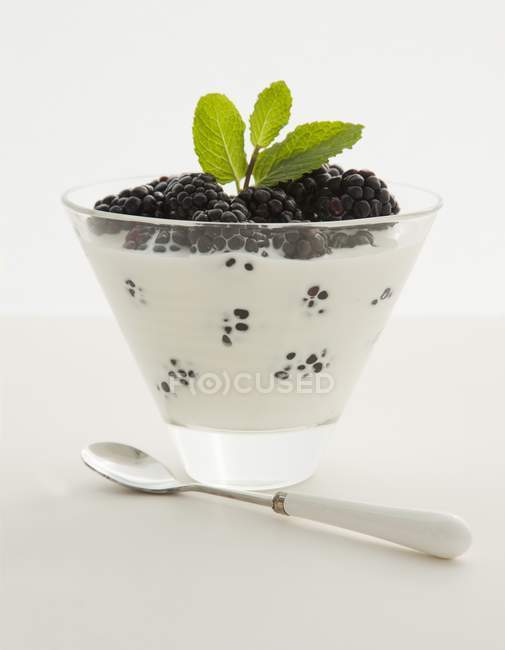 Blackberries and cream with mint — Stock Photo
