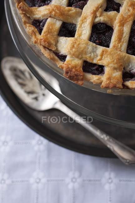 Mulberry pie with lattice crust — Stock Photo