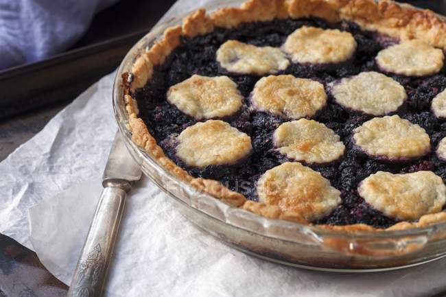 Mulberry pie with biscuits — Stock Photo