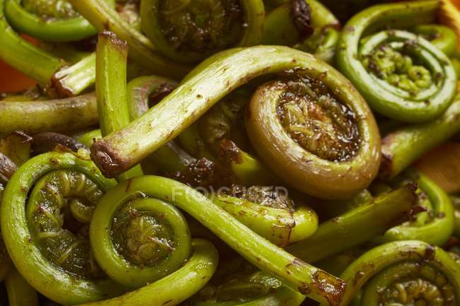 Fresh fiddlehead ferns over wooden surface — Stock Photo
