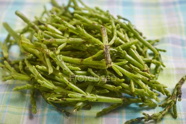 A pile of samphire laying on colored tablecloth — Stock Photo