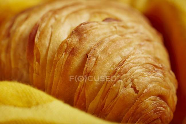 Closeup view of Sfogliatelle Italian filled pastry — Stock Photo