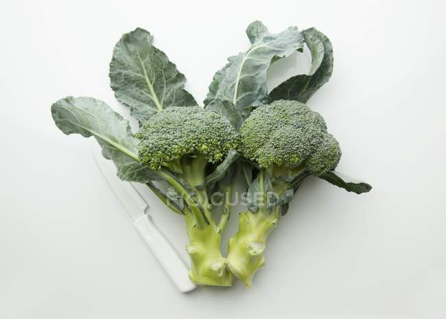 Fresh Broccoli with knife — Stock Photo