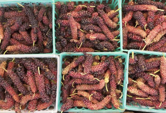 Mulberries in plastic baskets — Stock Photo