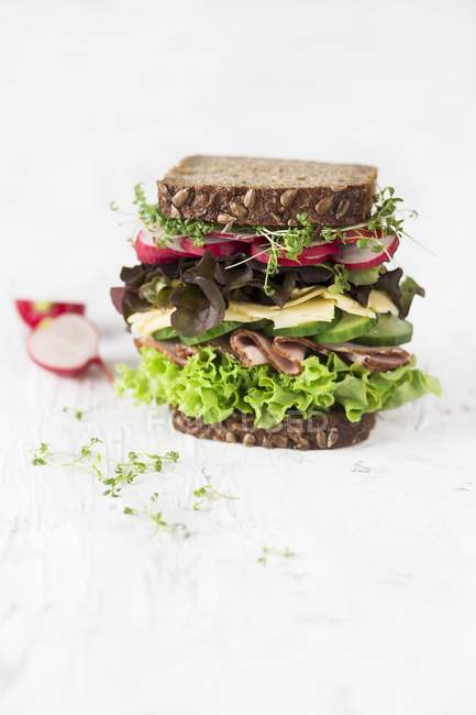 Large sandwich with lettuce — Stock Photo