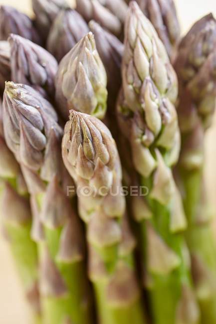 Tips of green asparagus — Stock Photo