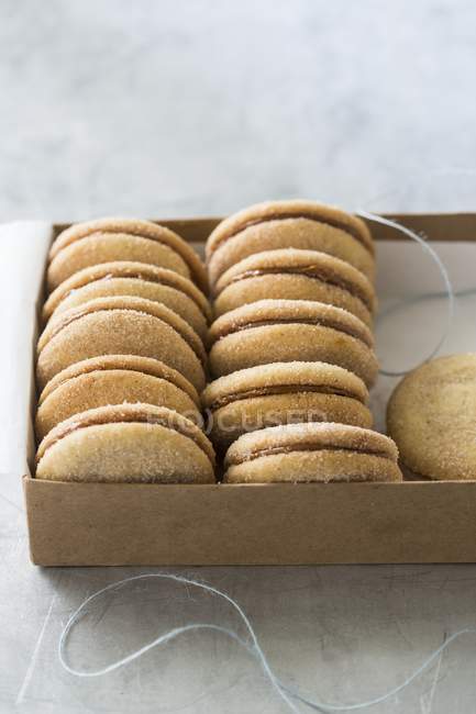Кориця Сандвічеві печиво — стокове фото