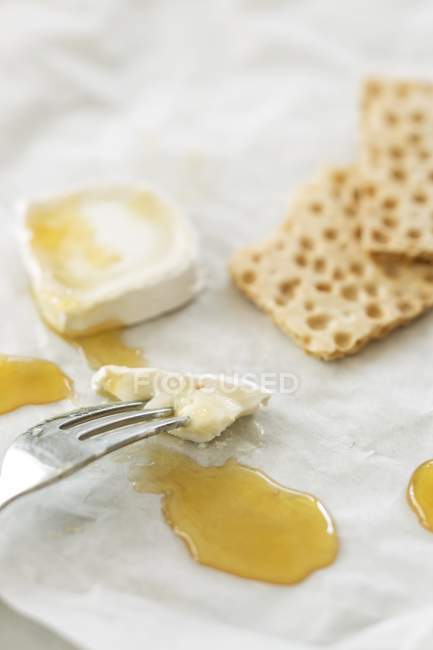 Goat cheese on fork — Stock Photo