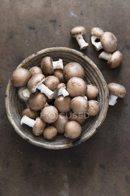 Tigela de cogumelos castanhos frescos — Fotografia de Stock