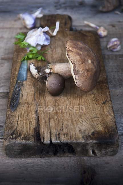 Cogumelos silvestres frescos e alho — Fotografia de Stock