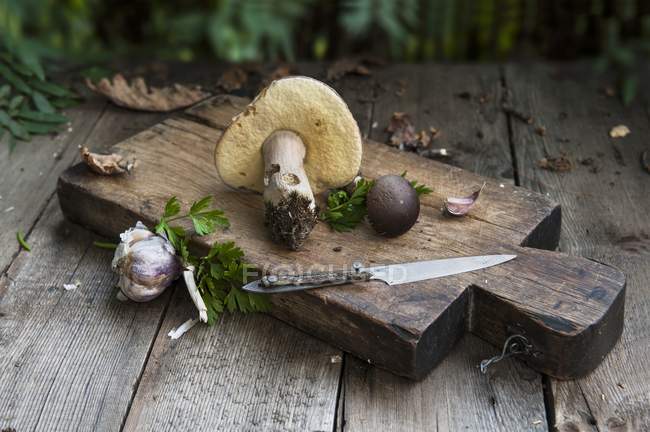 Wild mushrooms and garlic — Stock Photo