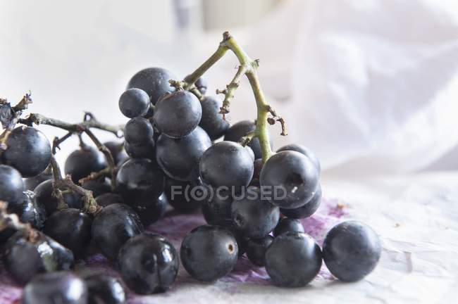 Black grapes on paper — Stock Photo