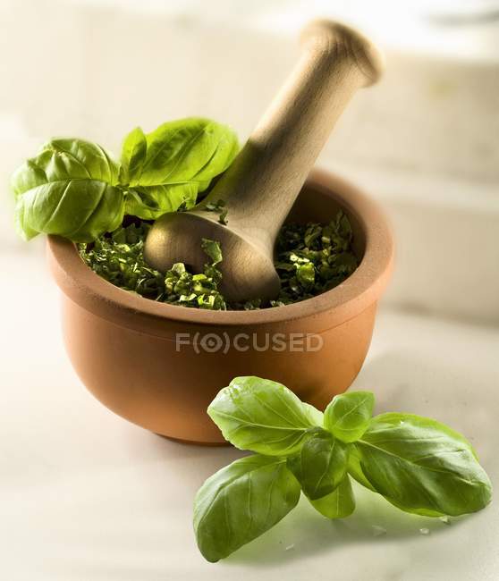 Closeup view of basil Pesto in a mortar — Stock Photo