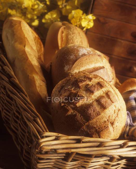 Vari tipi di pane — Foto stock