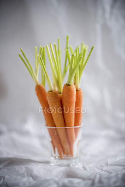 Fresh raw carrots — Stock Photo