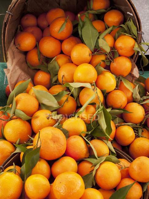 Frische Mandarinen im umgedrehten Korb — Stockfoto