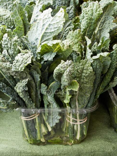 Bundles of kale in plastic container — Stock Photo
