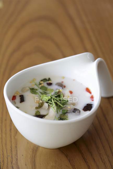 Spoonful of Chicken Soup — Stock Photo
