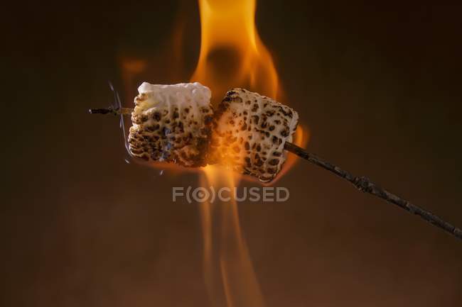 Поджаривают зефир — стоковое фото
