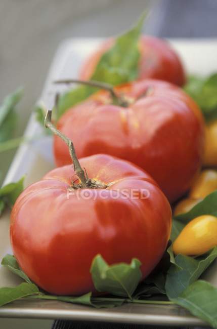Beefsteak and yellow tomatoes — Stock Photo