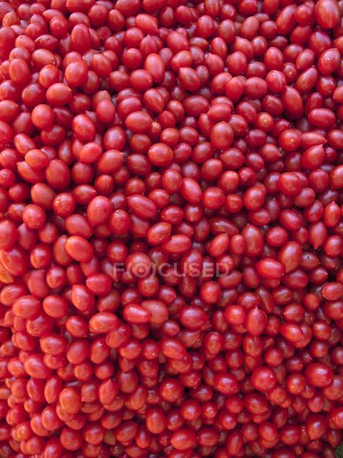 Tomates de uva roja - foto de stock