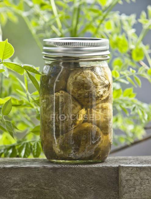 Pickled Brussels Sprouts — Stock Photo