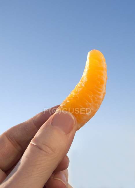 Main tenant un segment de mandarine — Photo de stock