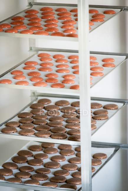 Macaroons on baking trays — Stock Photo