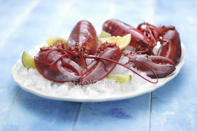 Closeup view of two cooked lobsters with lemon and lime wedges on ice — Stock Photo