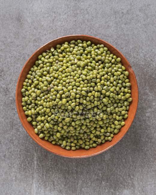 Dried organic mung beans — Stock Photo