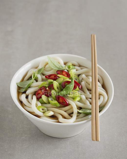 Udon noodle soup with spring onions — Stock Photo