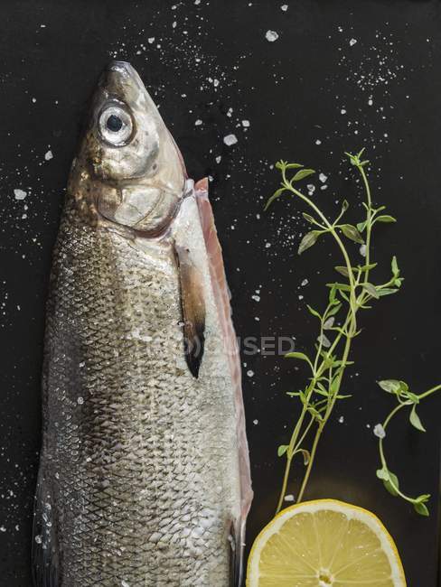 Fresh whiting fish with lemon — Stock Photo