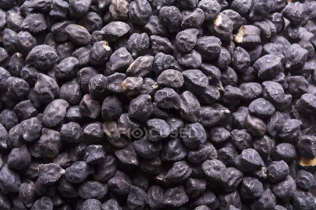 Heap of Black chickpeas full frame — Stock Photo