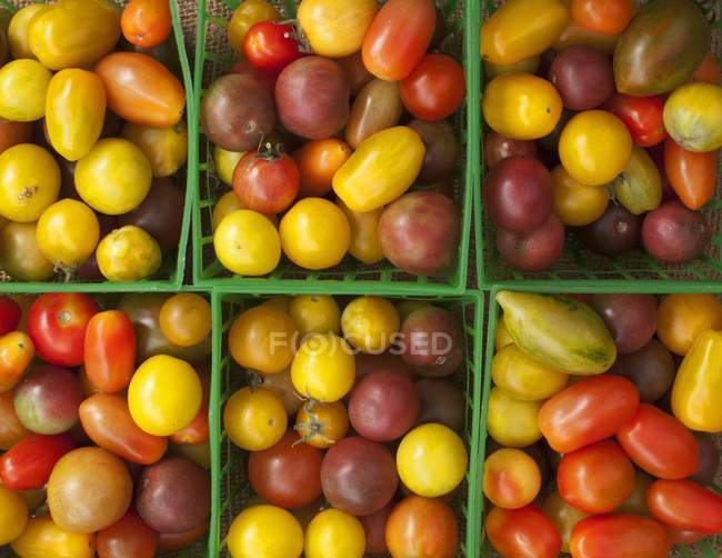 Vários tomates mini-herança — Fotografia de Stock