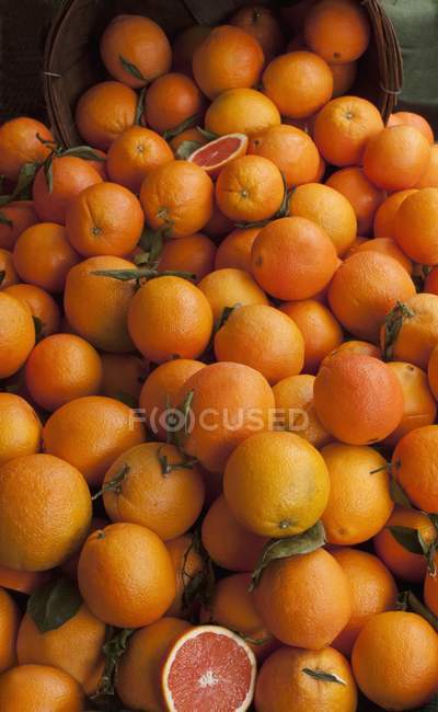 Frische Cara Cara Orangen — Stockfoto