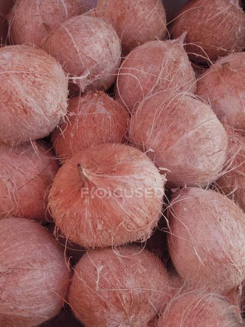 Свежие спелые кокосы — стоковое фото