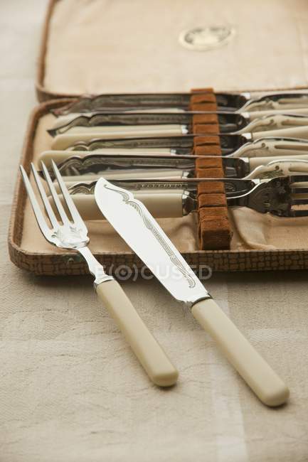 Closeup view of antique fish cutlery in a case — Stock Photo