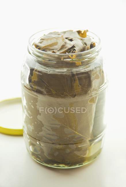 Closeup view of pickled vine leaves in a screw-top jar — Stock Photo