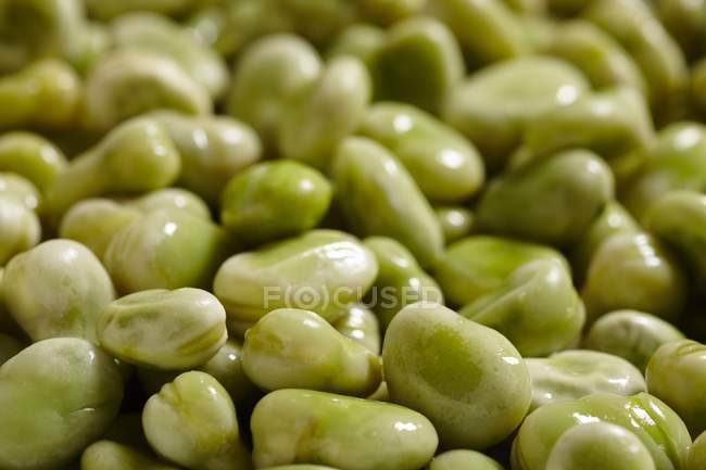 Green Poached fava beans — Stock Photo